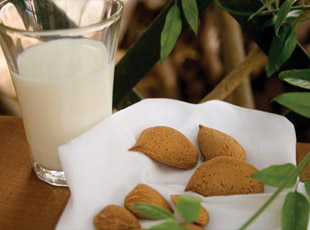 photo almond milk and pizzuta almond of avola in  the province of siracusa in sicily